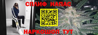 прущие грибы Туймазы