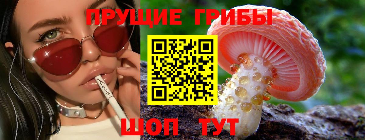 Псилоцибиновые грибы мицелий Нефтекумск
