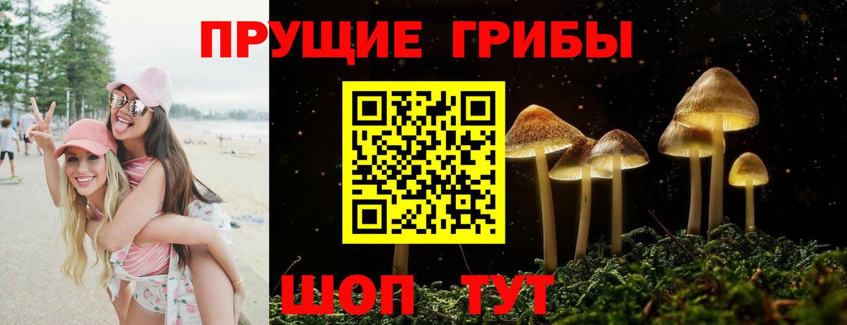 Нефтекумск  Галлюциногенные грибы Psilocybine cubensis  Вход с VPN  что такое   Галлюциногенные грибы Psilocybine cubensis 